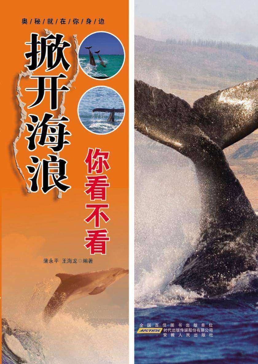 掀开海浪你看不看