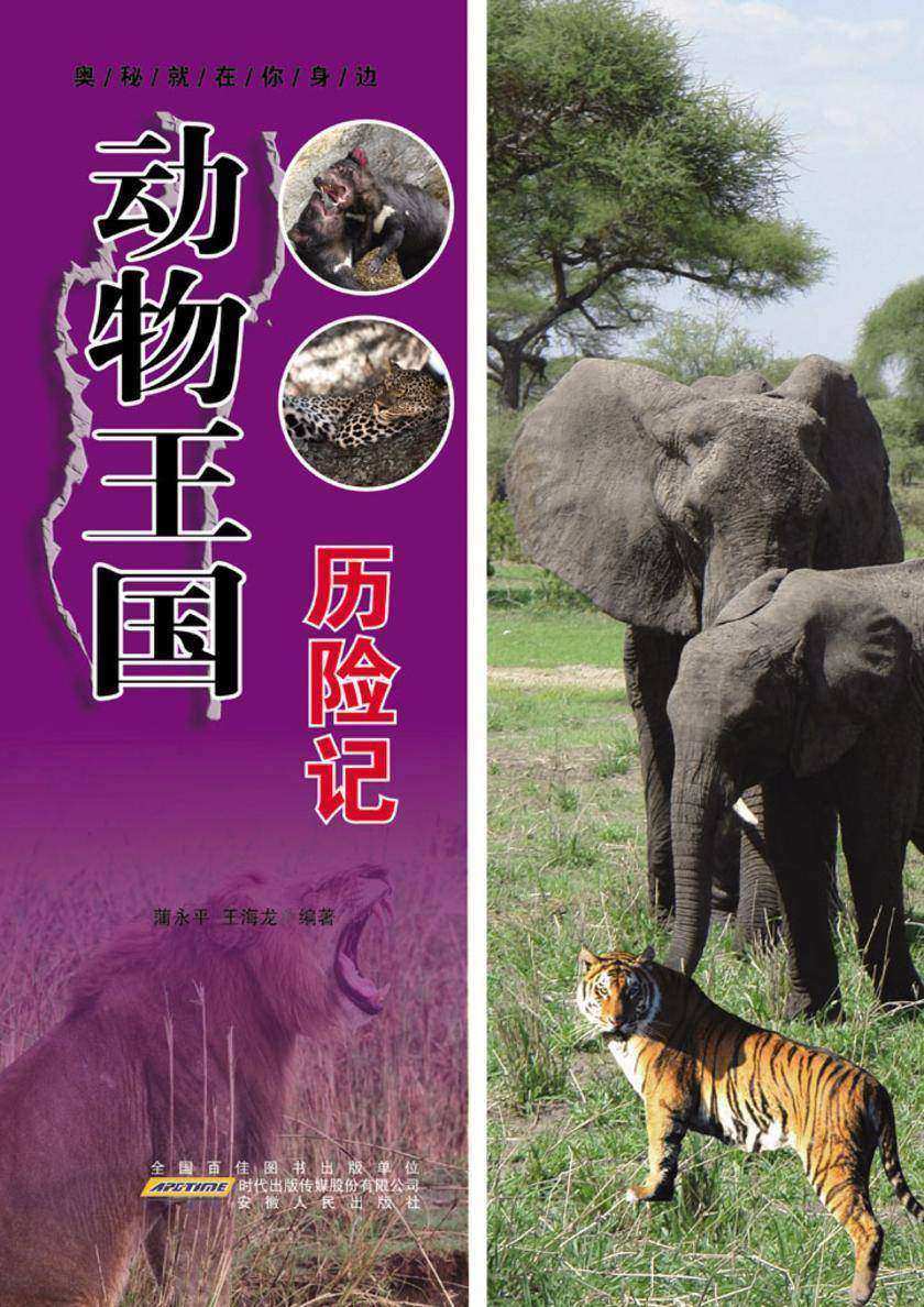 动物王国历险记