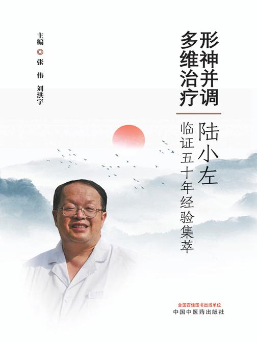 形神并调 多维治疗:陆小左临证五十年经验集萃