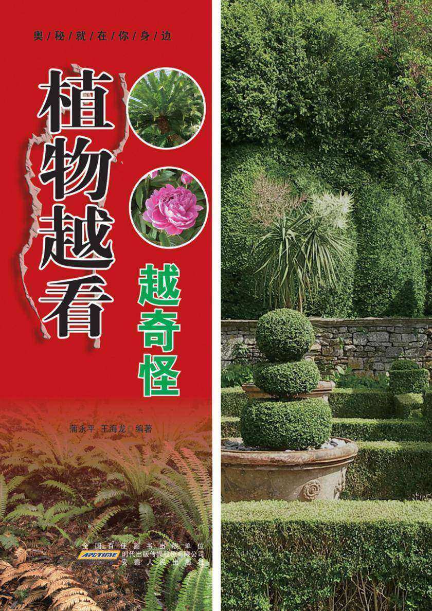 植物越看越奇怪