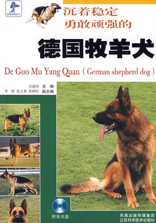沉着稳定勇敢顽强的德国牧羊犬