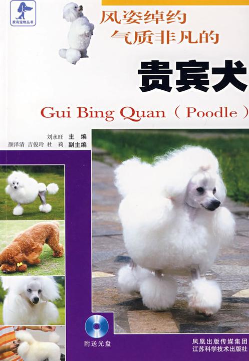 风姿绰约气质非凡的贵宾犬