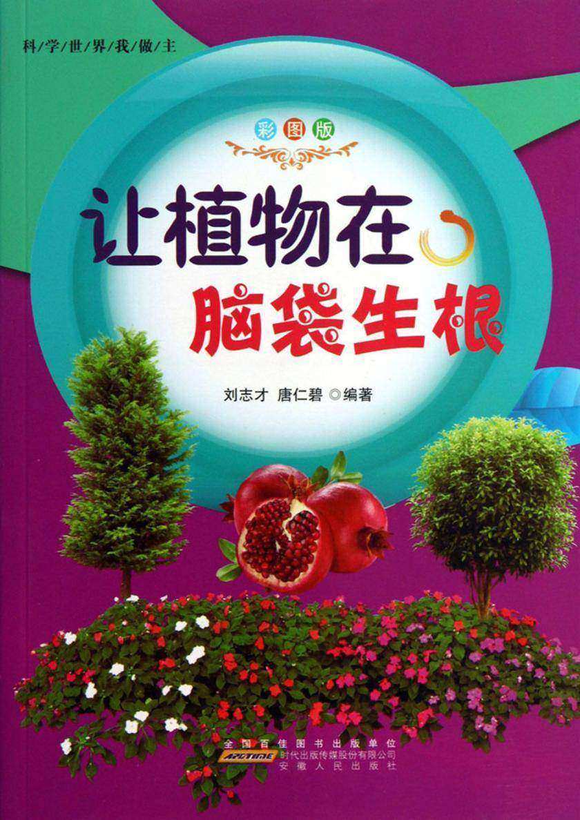 让植物在脑袋生根