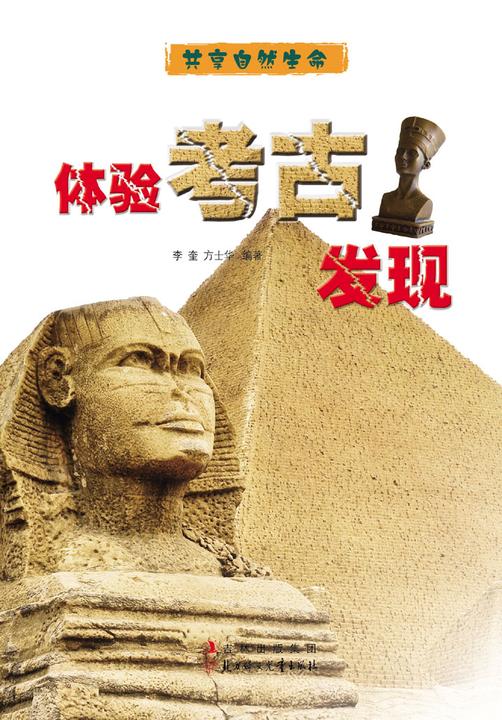 体验考古发现