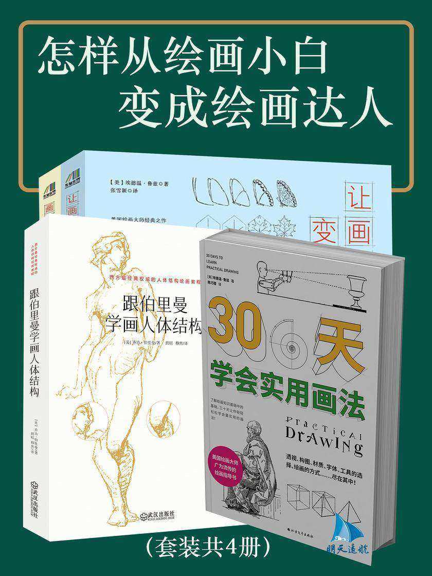 怎样从绘画小白变成绘画达人(套装共4册)