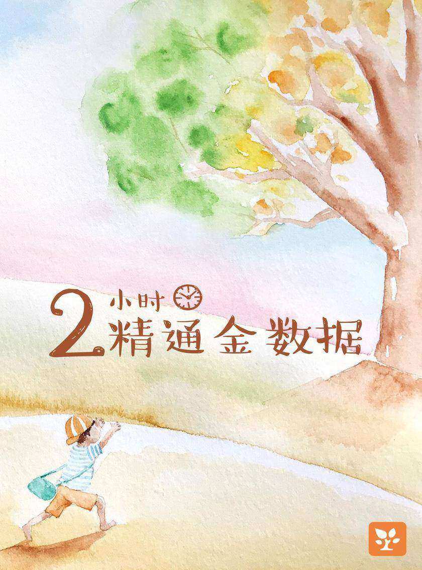 2小时精通金数据