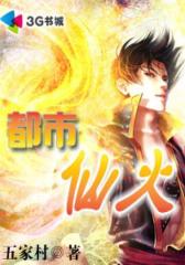 都市仙火--第4部