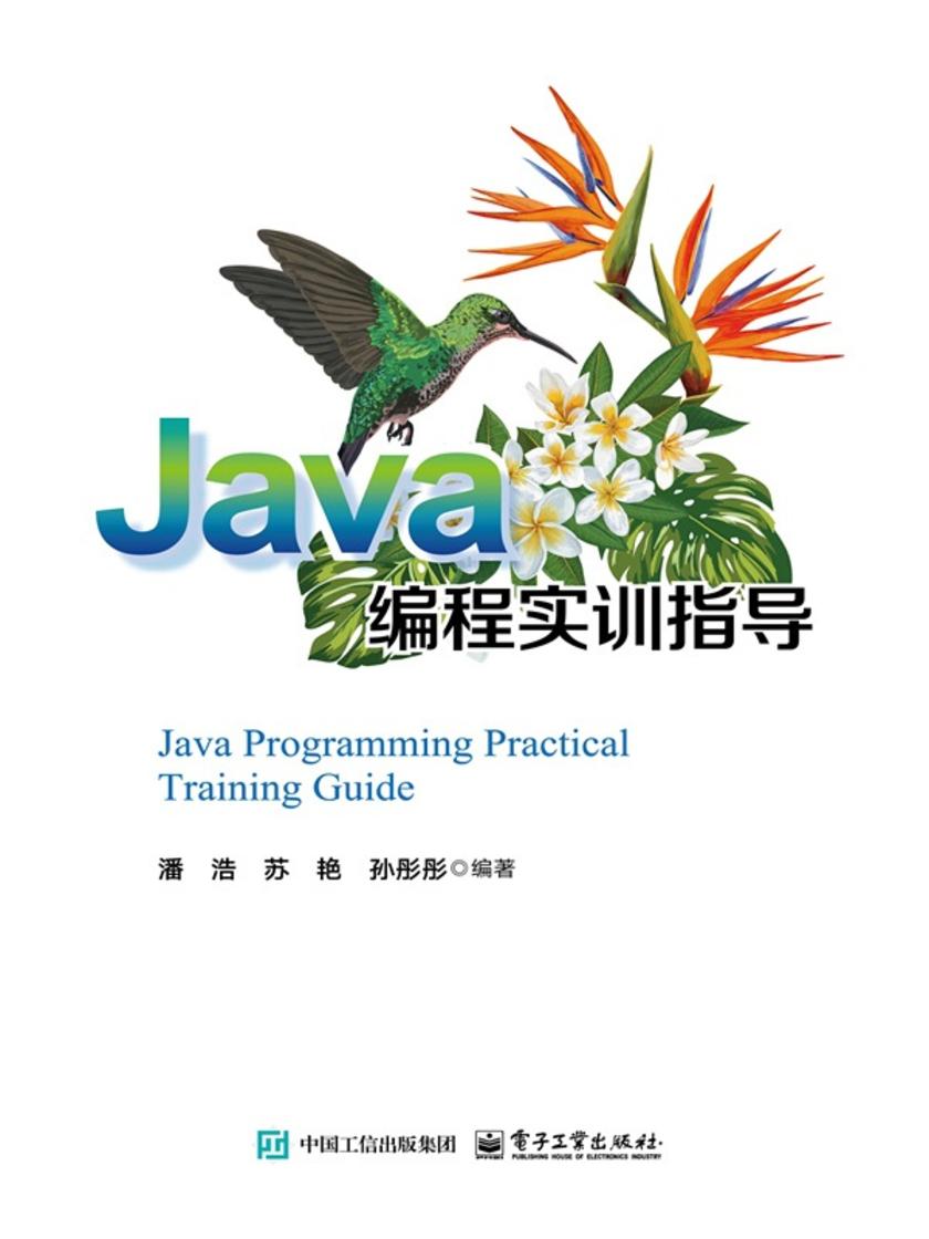 Java编程实训指导