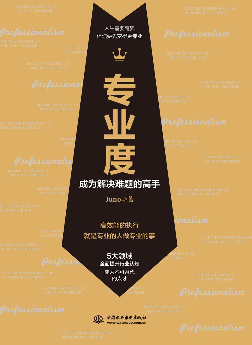 专业度:成为解决难题的高手