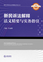 新民事诉讼法司法解释法义精要与实务指引