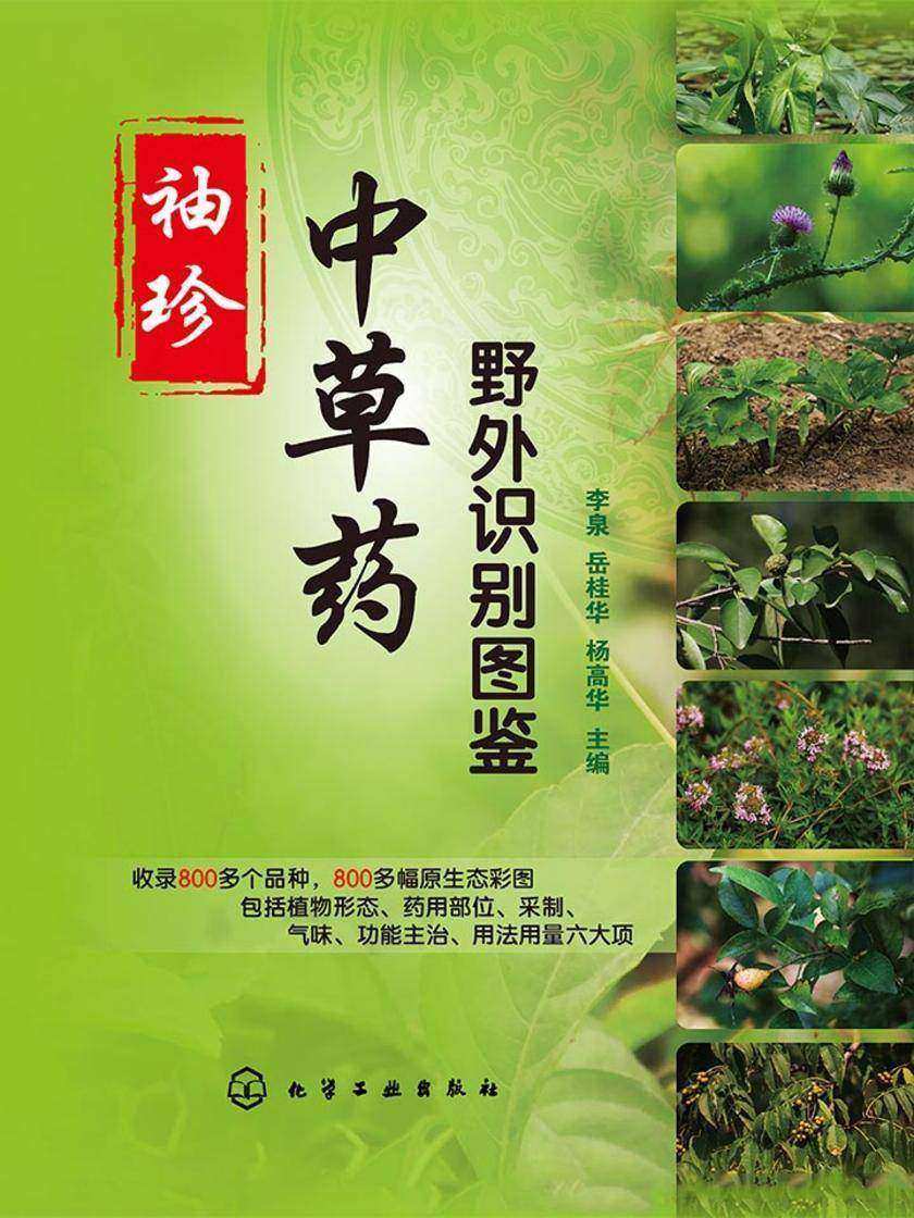 袖珍中草药野外识别图鉴