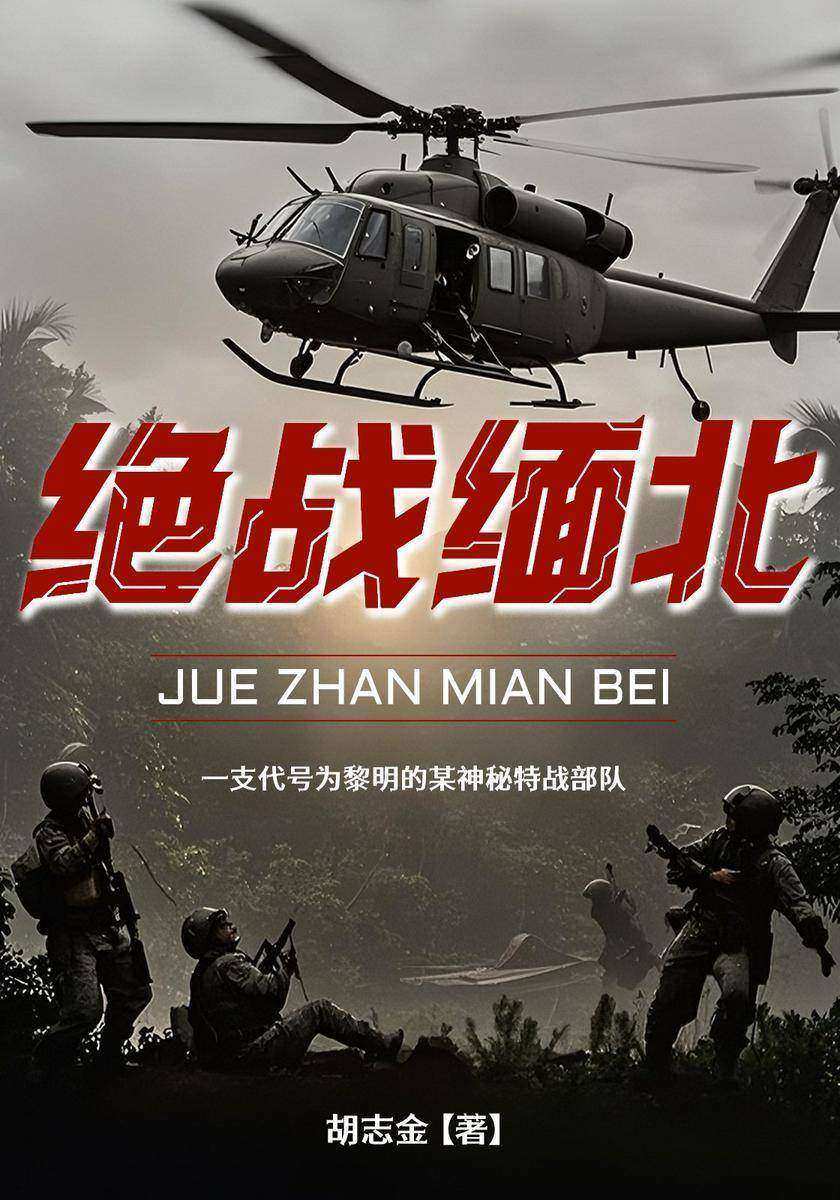 绝战缅北