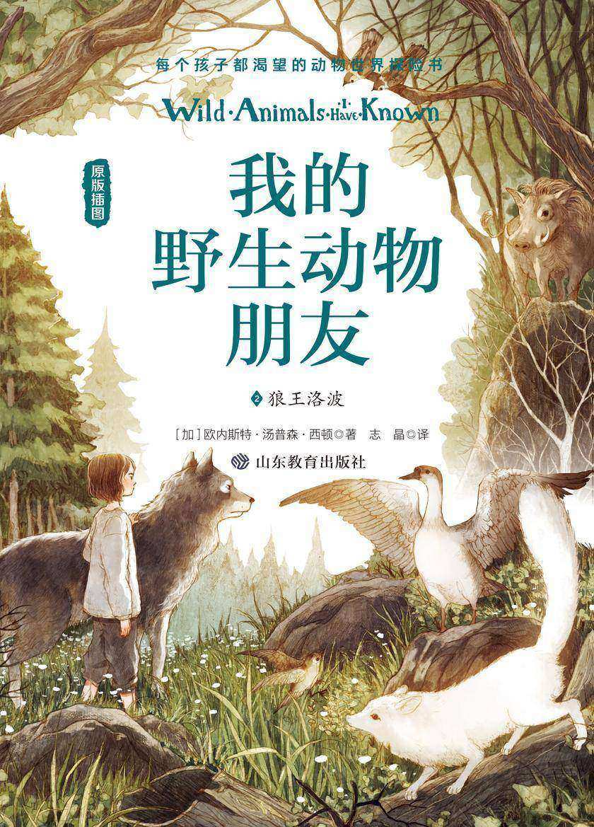 我的野生动物朋友2:狼王洛波