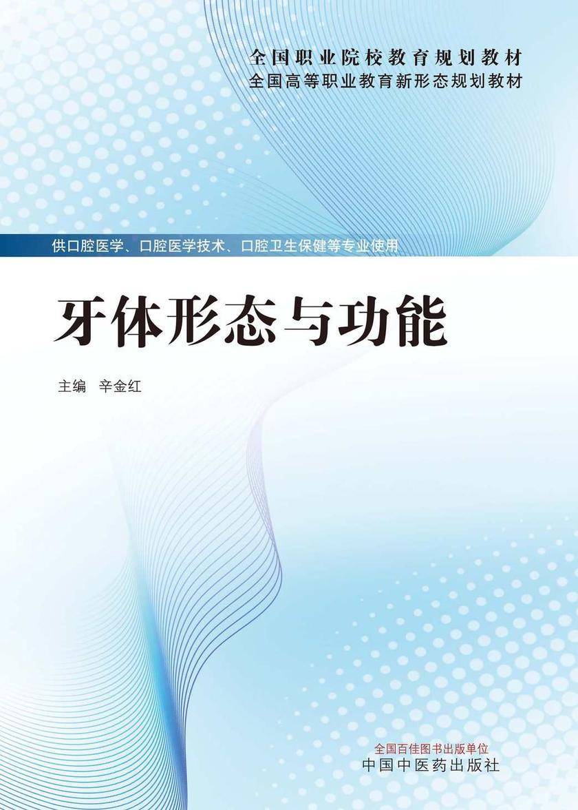 牙体形态与功能