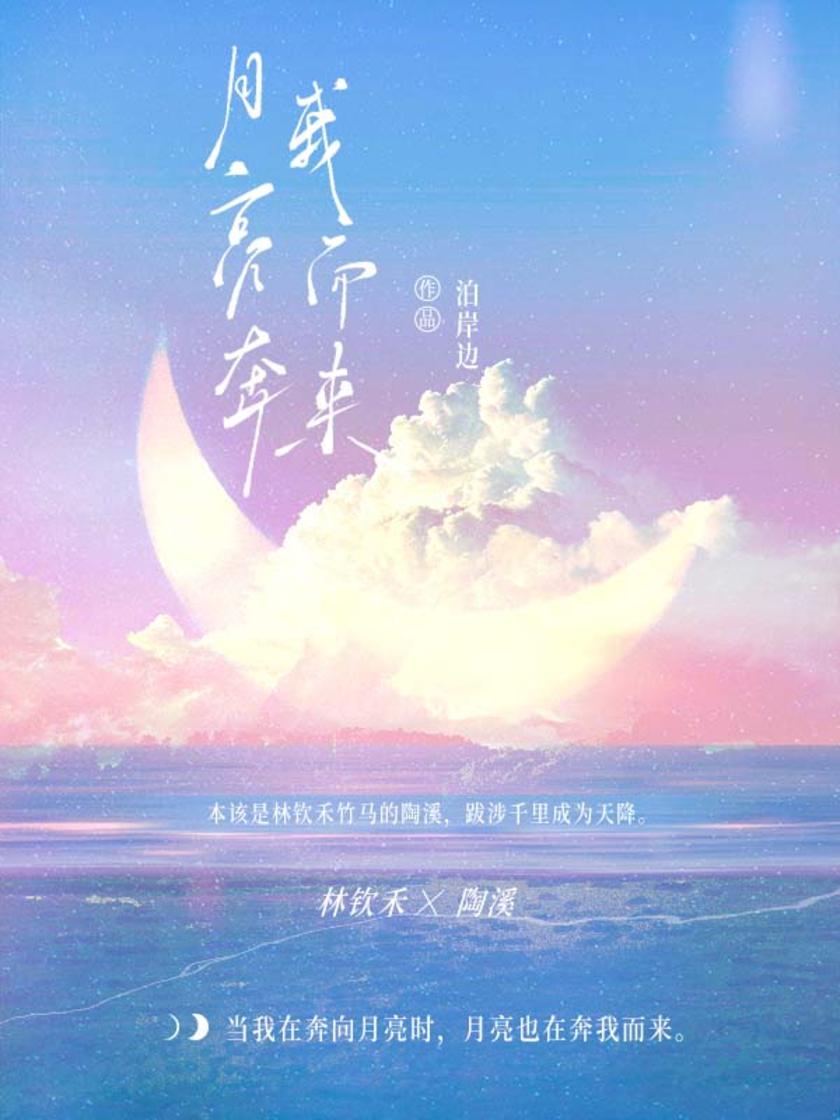 月亮奔我而来