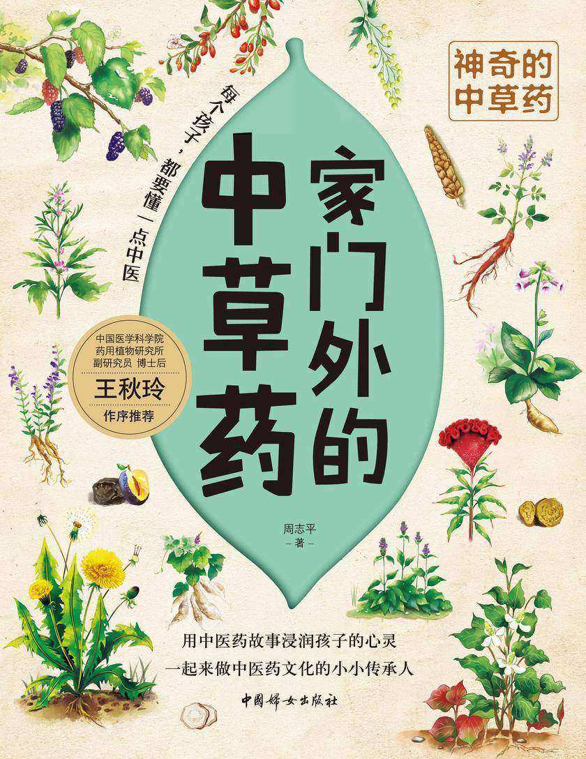 家门外的中草药