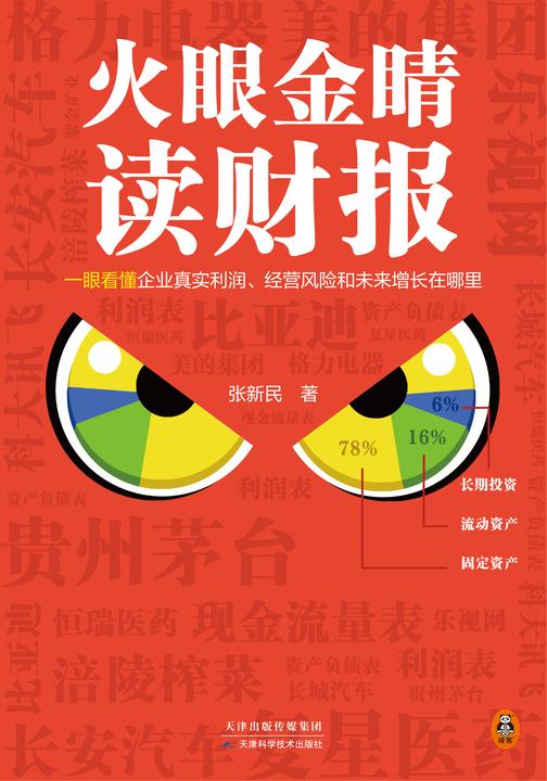 火眼金睛读财报(一眼看懂企业真实利润、经营风险和未来增长在哪里!清华大学、长江商学院零基础财报课,京dong方、五矿发展独董)