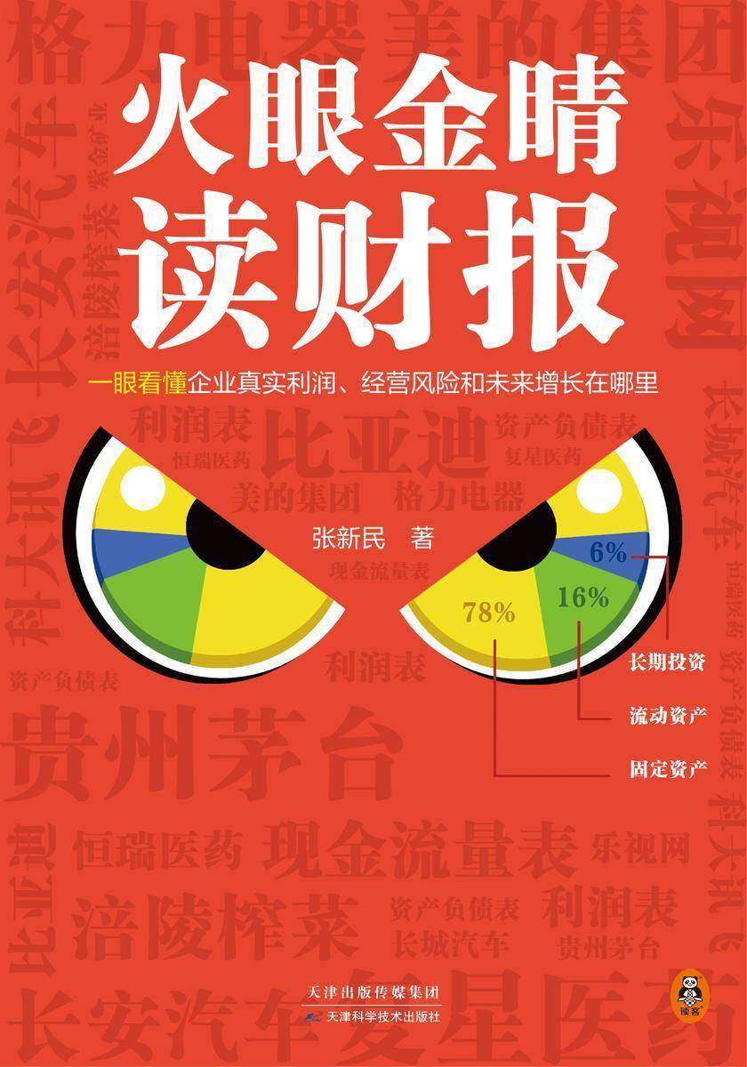 火眼金睛读财报(一眼看懂企业真实利润、经营风险和未来增长在哪里!清华大学、长江商学院零基础财报课,京dong方、五矿发展独董)