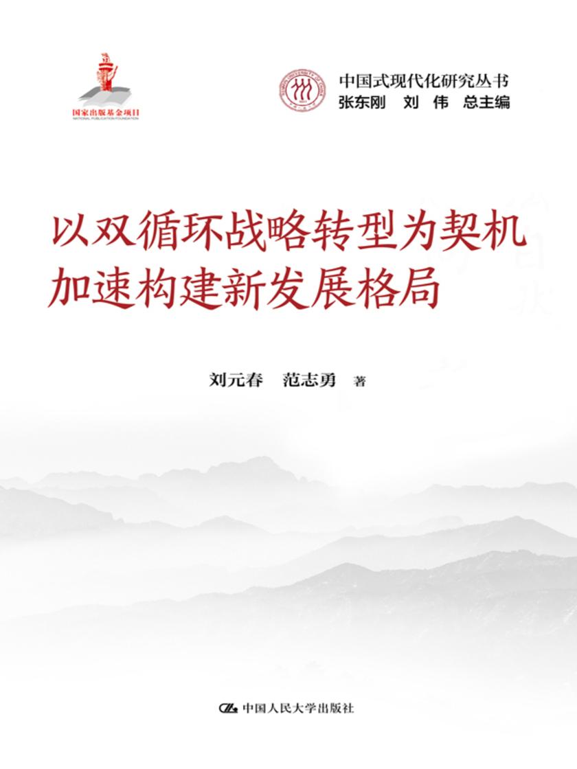 以双循环战略转型为契机加速构建新发展格局