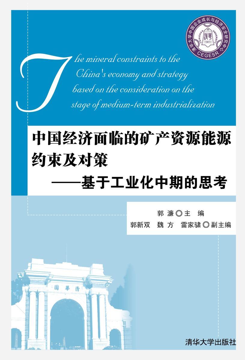 中国经济面临的矿产资源能源约束及对策——基于工业化中期的思考