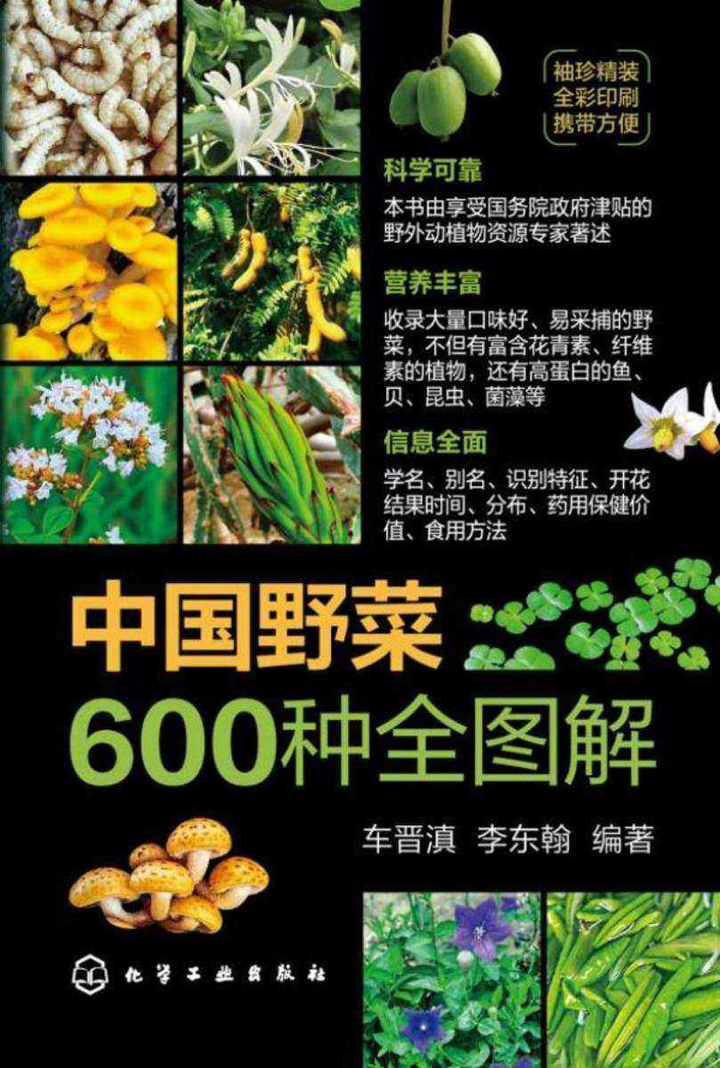 中国野菜600种全图解
