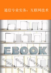 通信专业实务：互联网技术