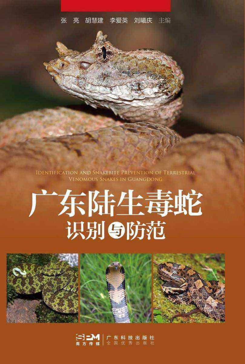 广东陆生毒蛇识别与防范