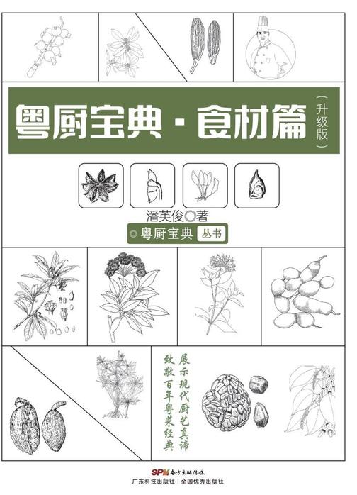 粤厨宝典:食材篇