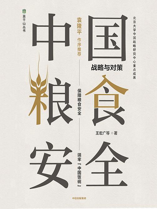 中国粮食安全:战略与对策