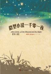 微型小说一千零一夜·第八卷