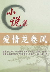 爱情龙卷风