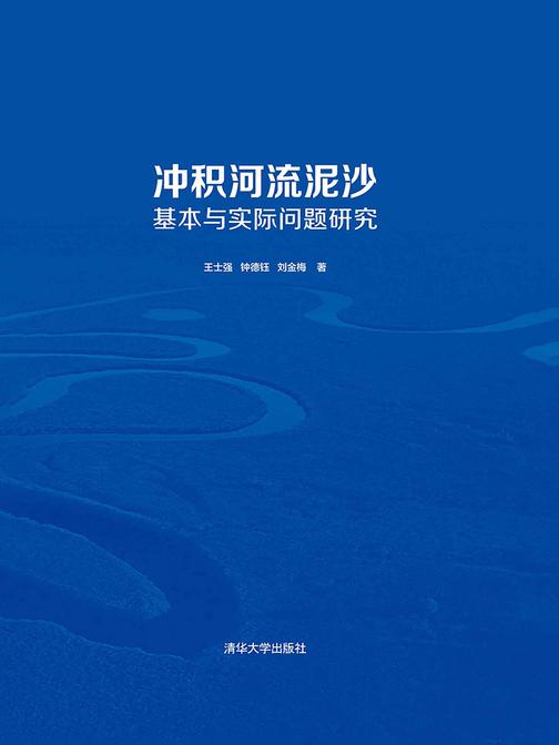 冲积河流泥沙基本与实际问题研究