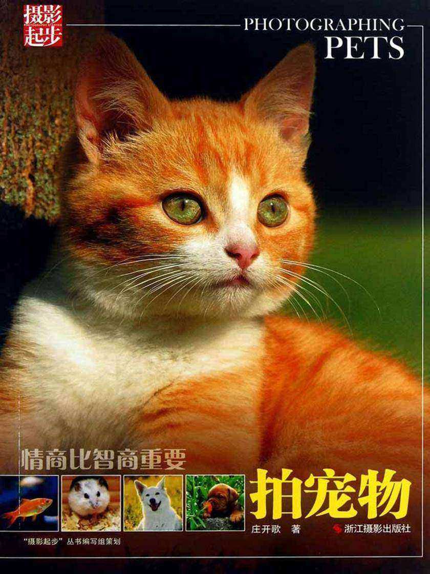 情商比智商重要：拍宠物