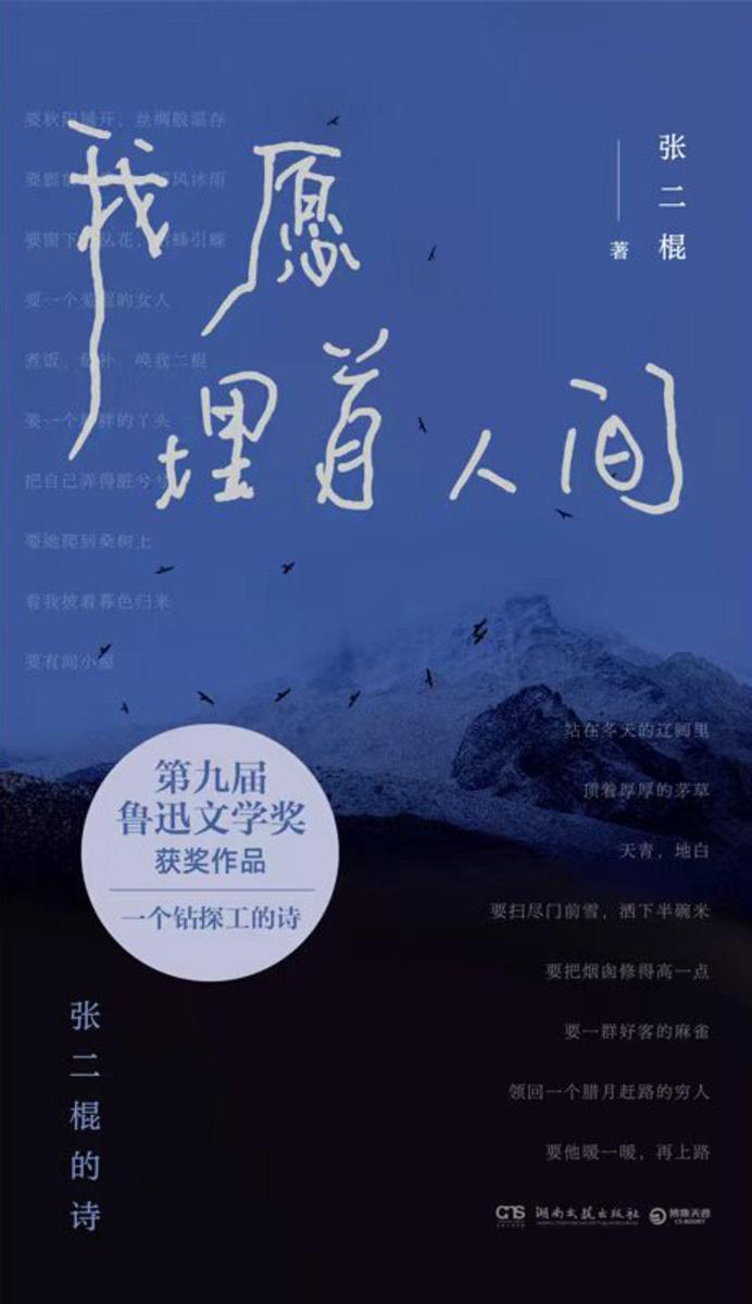 我愿埋首人间:张二棍的诗
