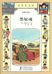 小学生文库028-黑奴魂(试读本)