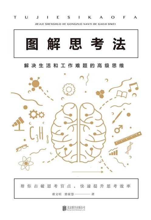 图解思考法：解决生活和工作难题的高级思维