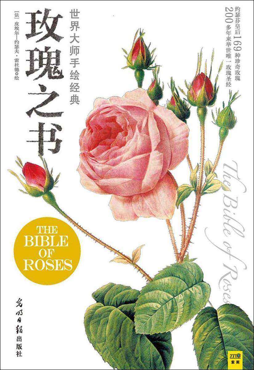 世界大师手绘经典玫瑰之书