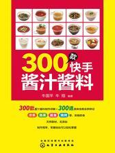 300款快手酱汁酱料