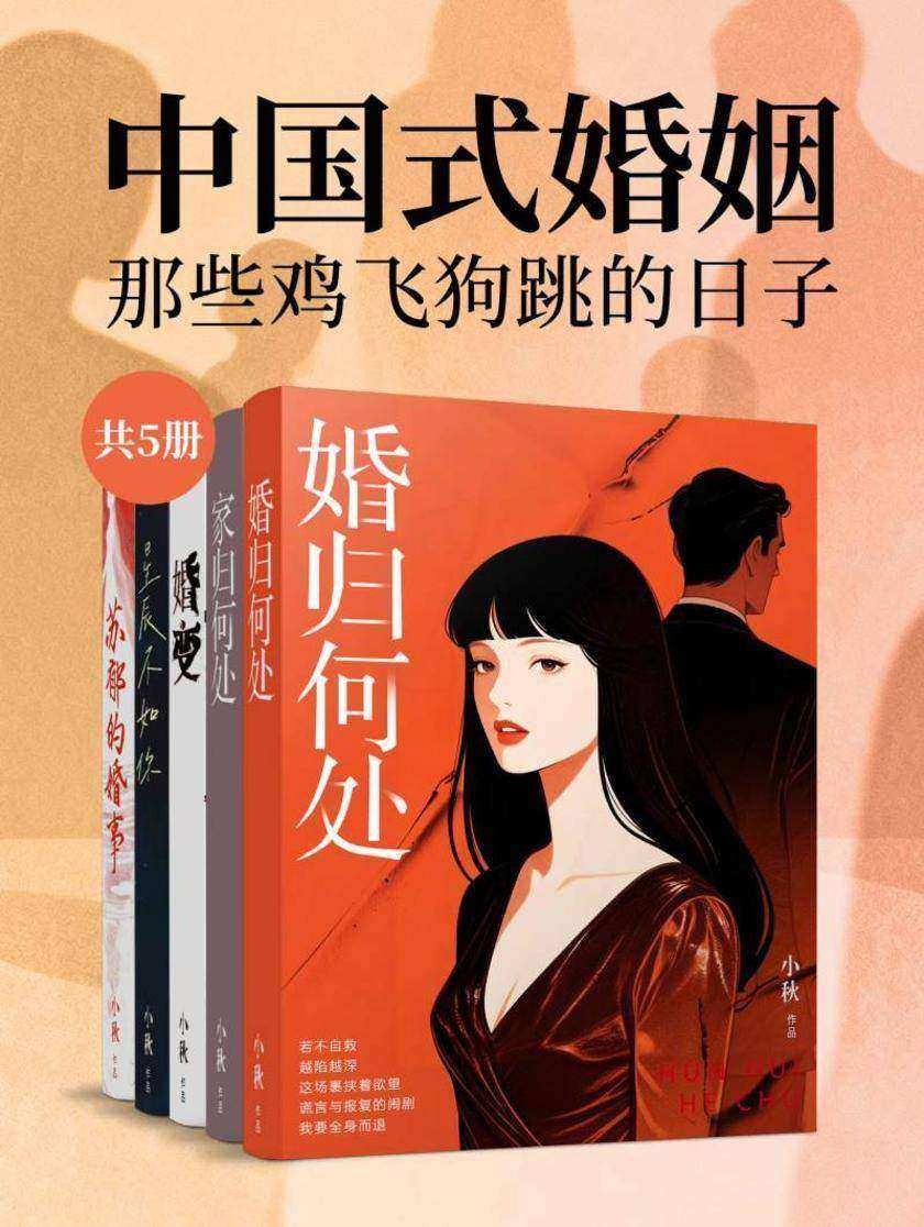 中国式婚姻:那些鸡飞狗跳的日子(共5册)