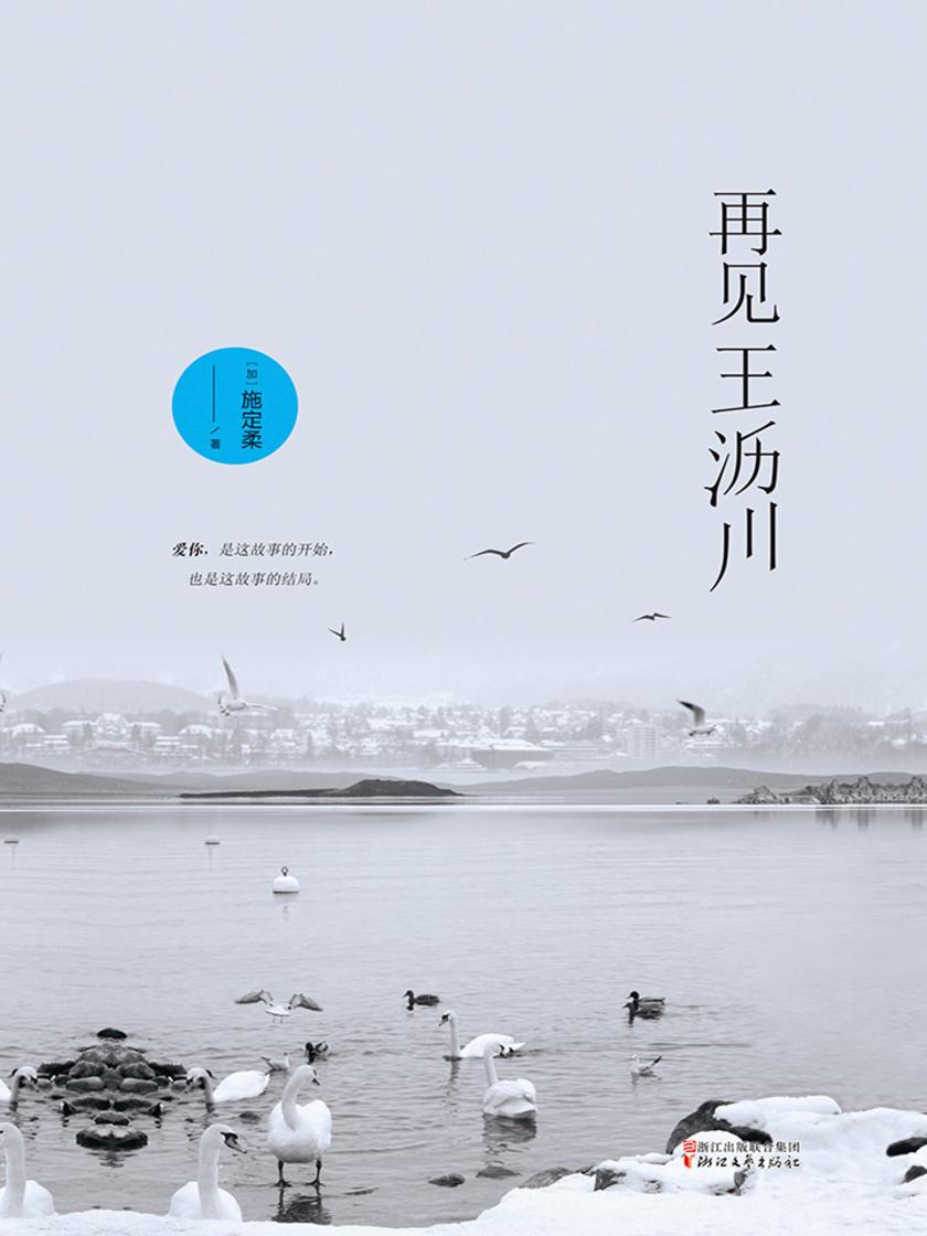 再见王沥川(同名网剧《再见王沥川》9月11日优酷独播)