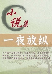 一夜放纵