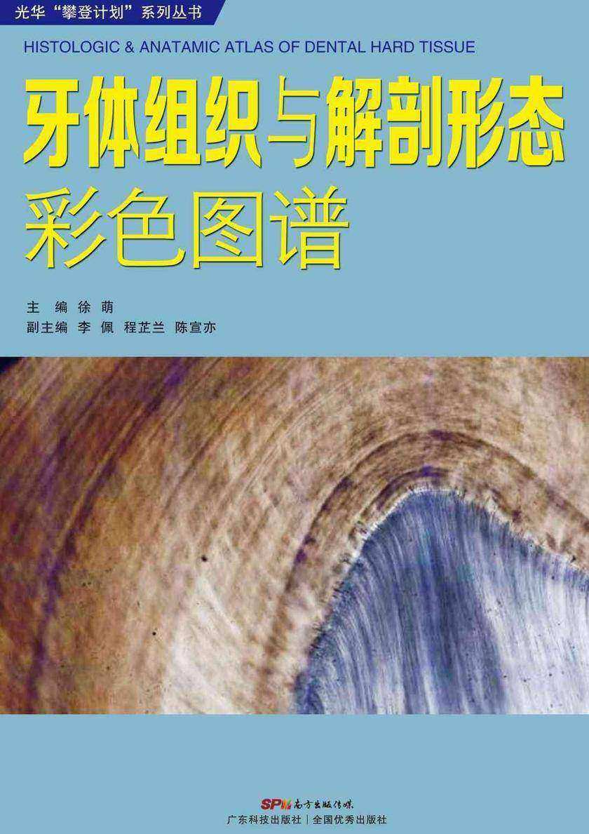 牙体组织与解剖形态彩色图谱