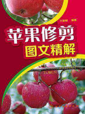 苹果修剪图文精解