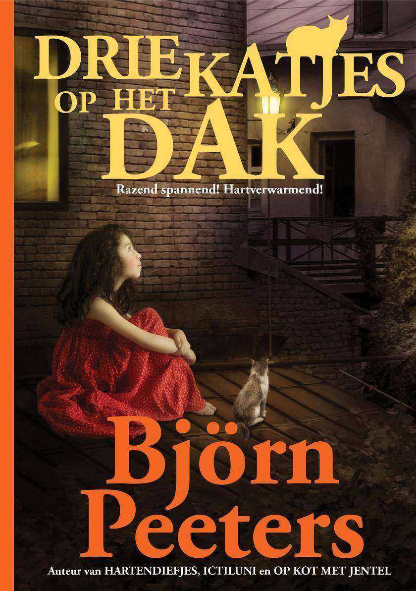 Drie katjes Op Het Dak