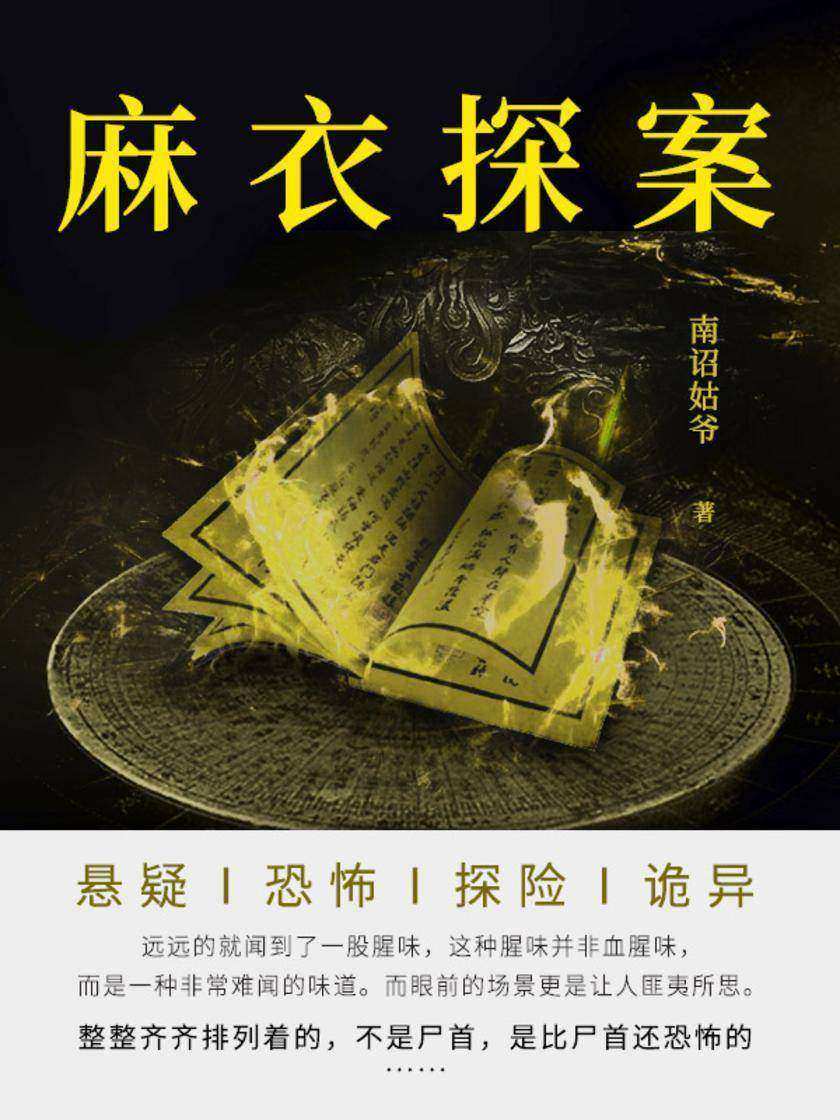 麻衣探案(第2卷)