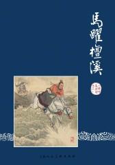 三国演义连环画·马跃檀溪