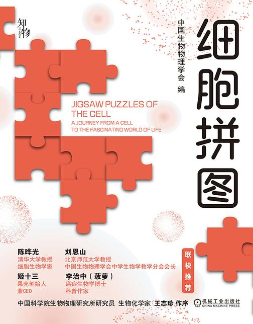 细胞拼图