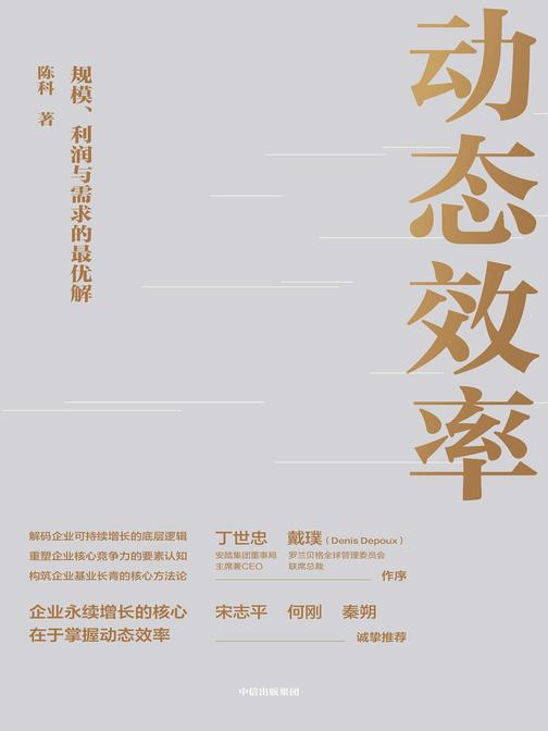 动态效率——规模、利润与需求的最优解