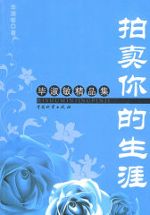 拍卖你的生涯(试读本)