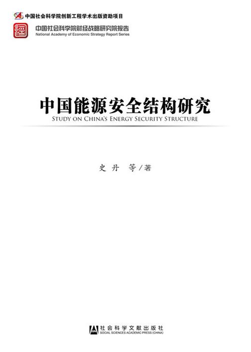 中国能源安全结构研究(中国社会科学院财经战略研究院报告)